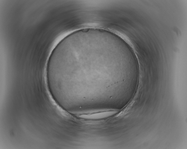 X0000111011440200907060946