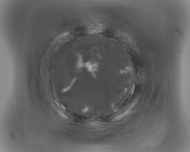 X0000111011441200907060946