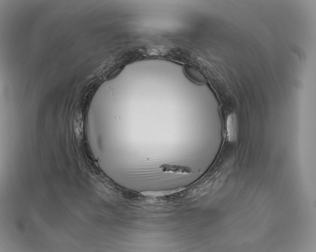 X0000111011443200907060946