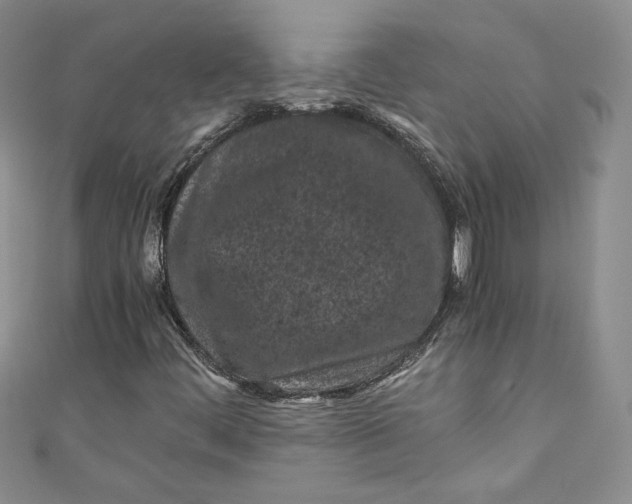 X0000111011444200907060946
