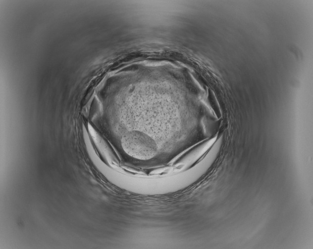 X0000111011445200907060946