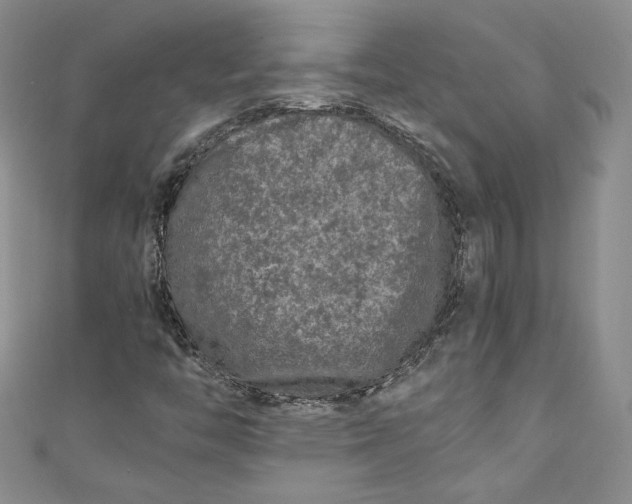 X0000111011446200907060946