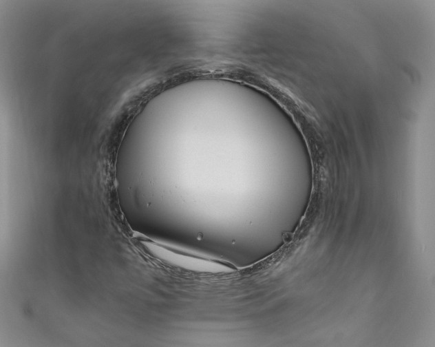 X0000111011447200907060946