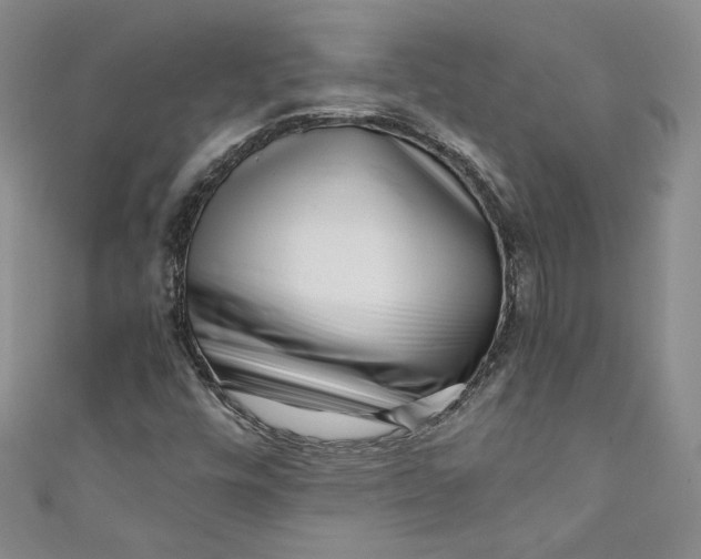 X0000111011448200907060946
