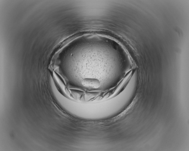 X0000111011449200907060946