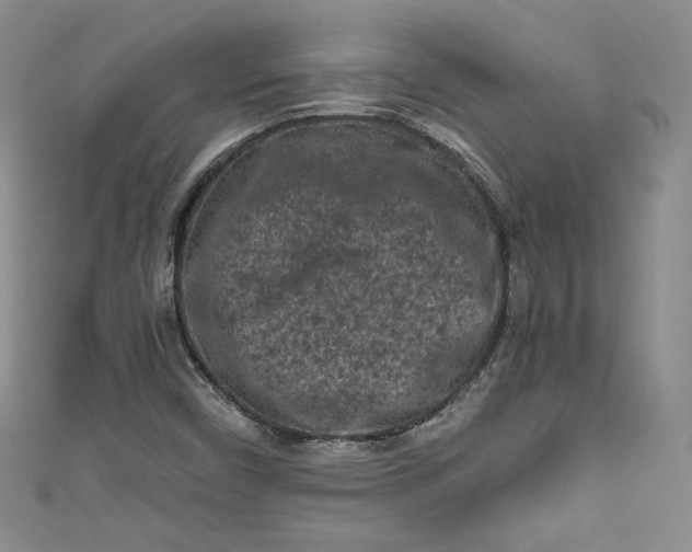X0000111011450200907060946