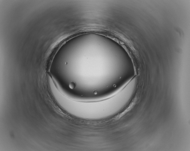 X0000111011453200907060946
