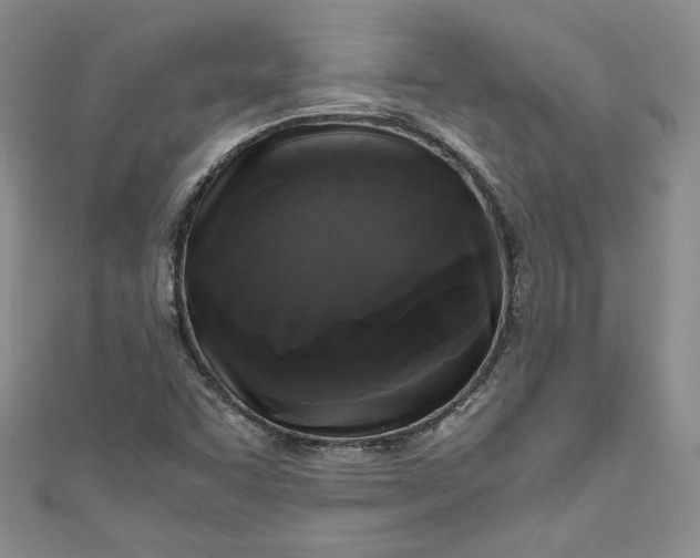 X0000111011455200907060946