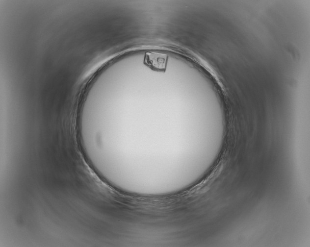 X0000111011456200907060946