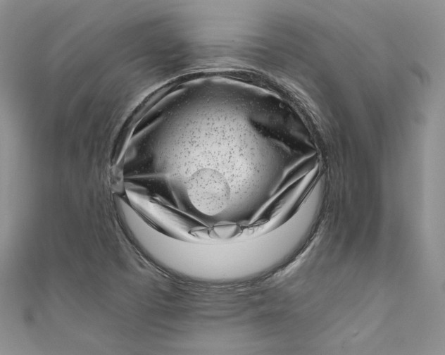 X0000111011457200907060946