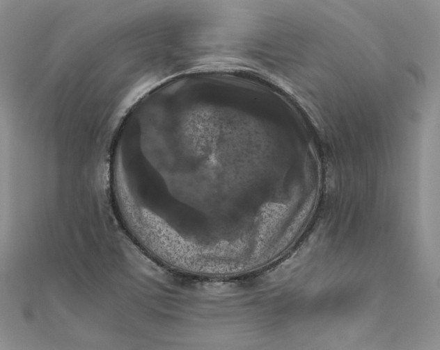 X0000111011459200907060946