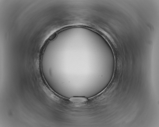 X0000111011460200907060946