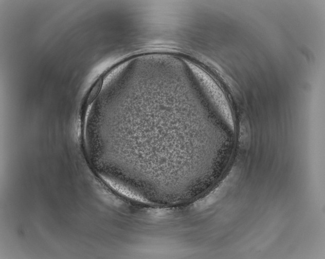X0000111011461200907060946