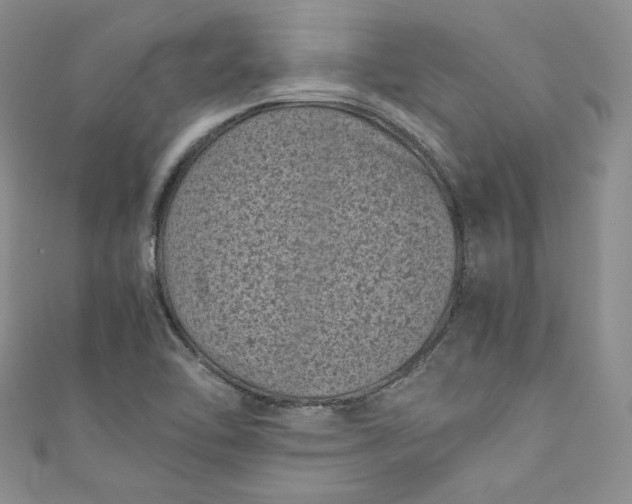 X0000111011462200907060945