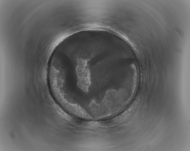 X0000111011463200907060945