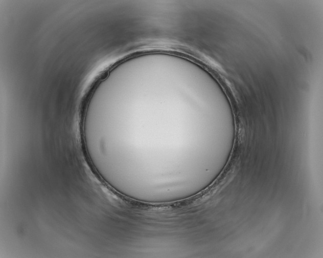 X0000111011464200907060945