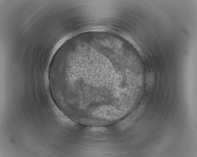 X0000111011466200907060945