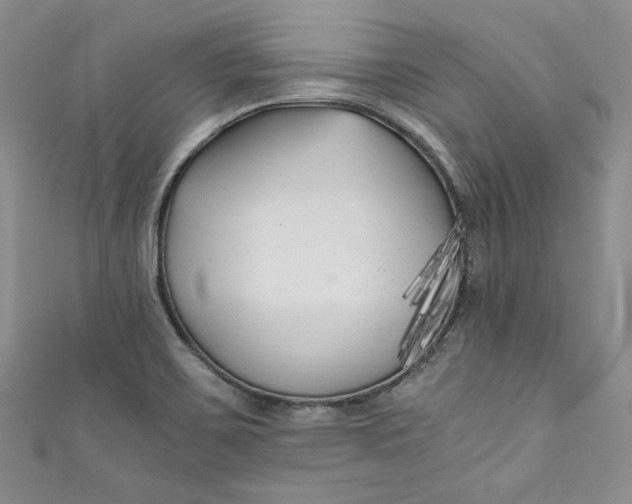 X0000111011467200907060945
