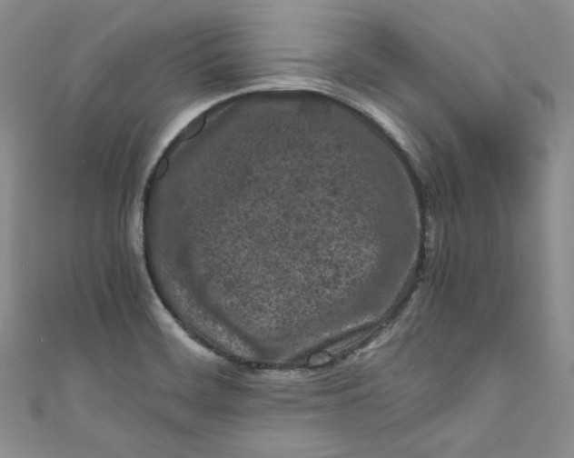 X0000111011468200907060945