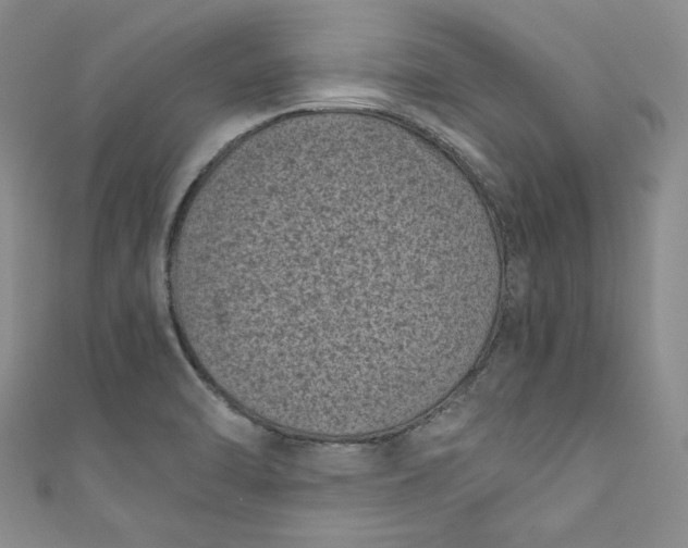 X0000111011470200907060945