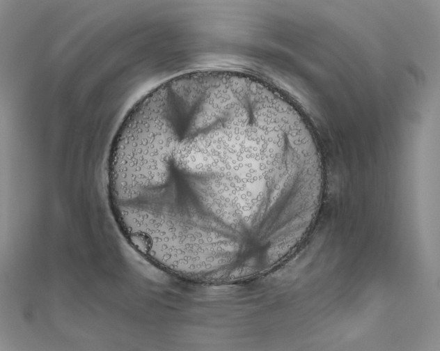 X0000111011471200907060945