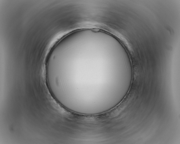 X0000111011472200907060945