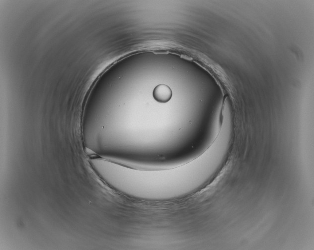 X0000111011473200907060945
