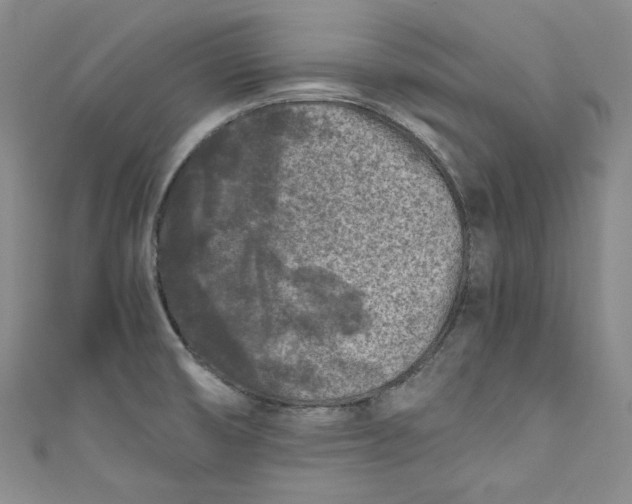 X0000111011474200907060945