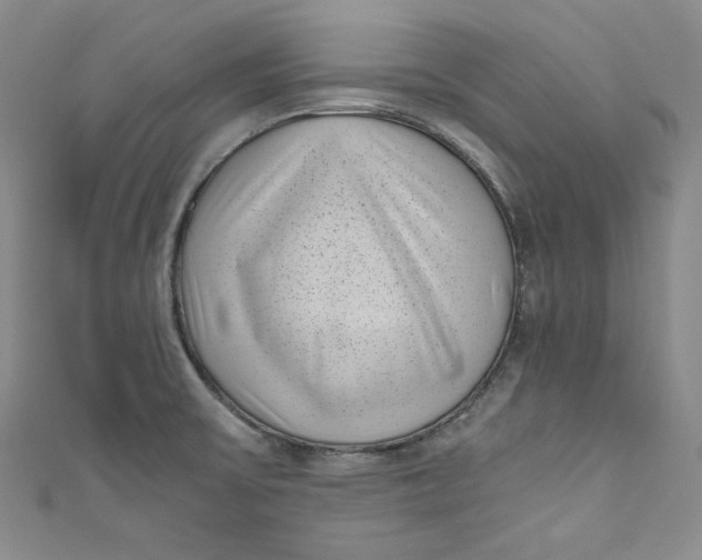 X0000111011475200907060945