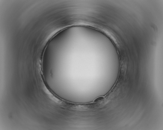 X0000111011476200907060945