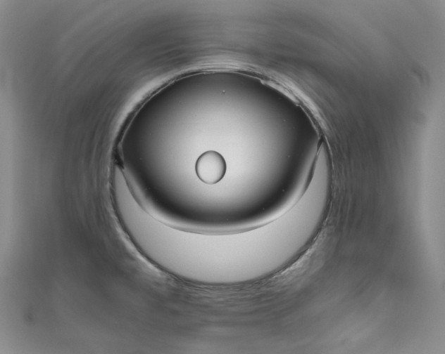 X0000111011477200907060945