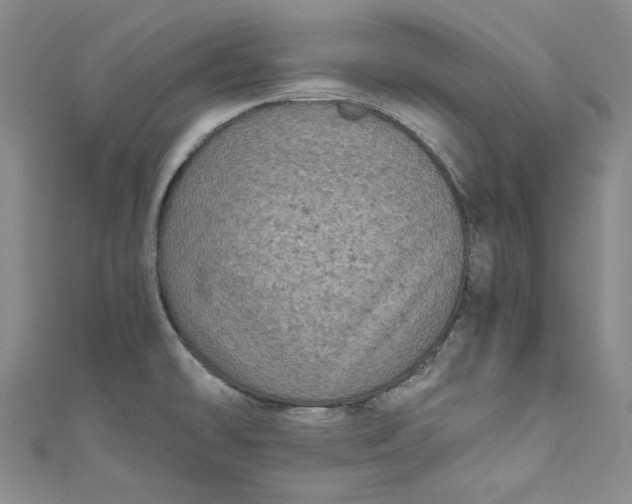 X0000111011478200907060945