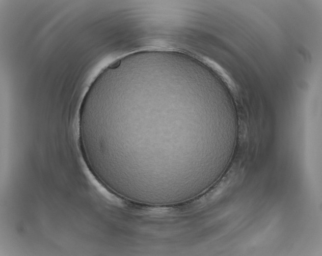 X0000111011479200907060945