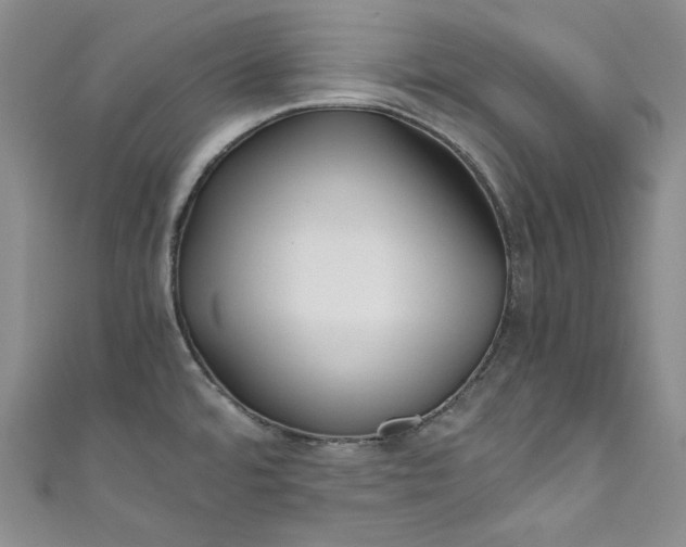 X0000111011480200907060945