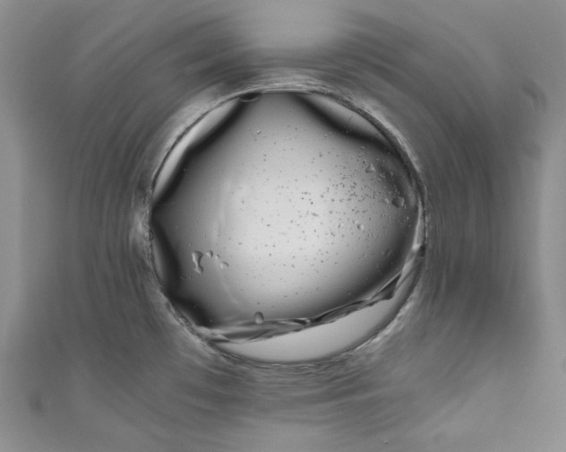 X0000111011481200907060945