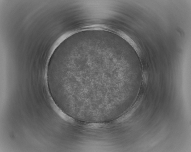 X0000111011482200907060945