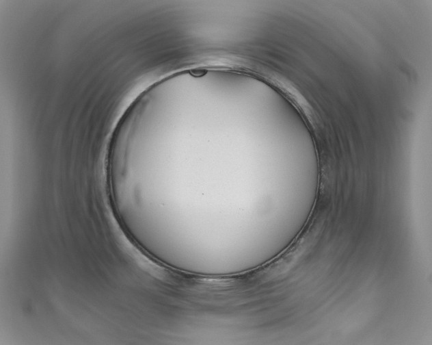 X0000111011483200907060945