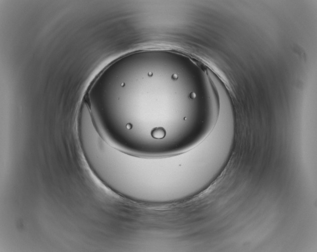 X0000111011484200907060945