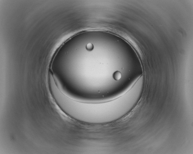 X0000111011485200907060945