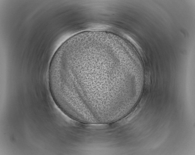 X0000111011487200907060945