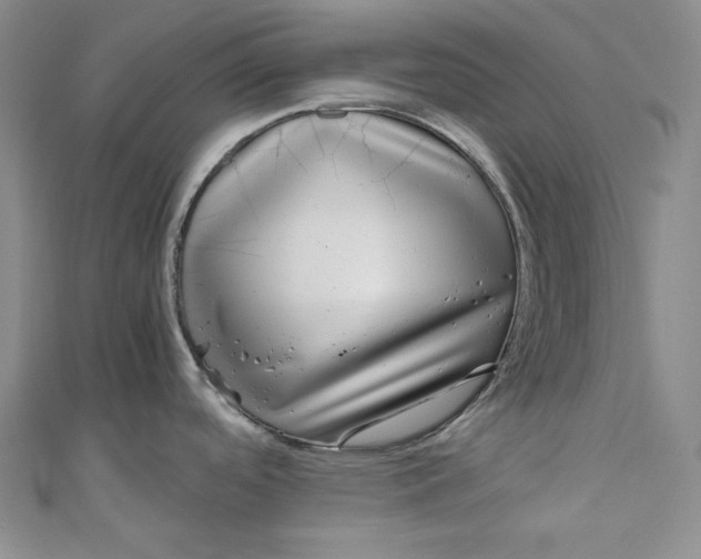 X0000111011488200907060945