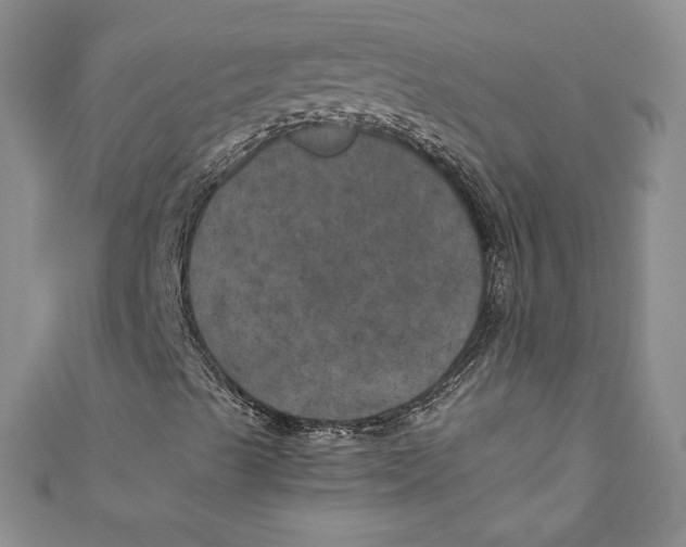 X0000111011489200907060945