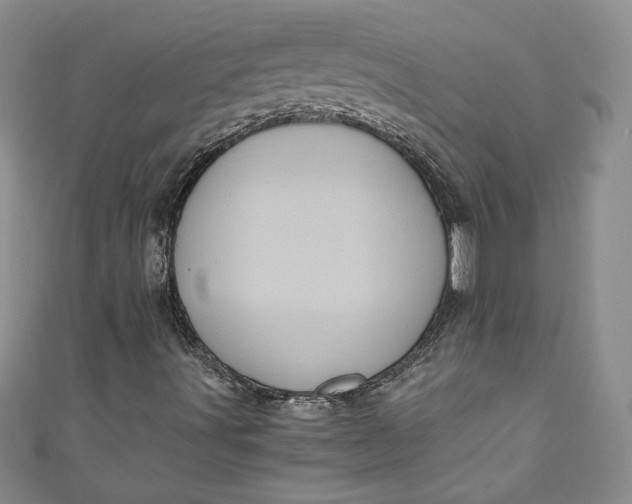 X0000111011491200907060945