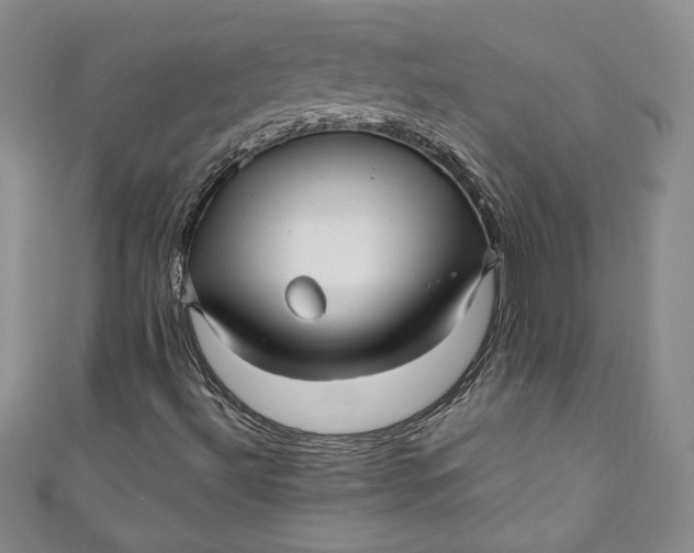 X0000111011492200907060945
