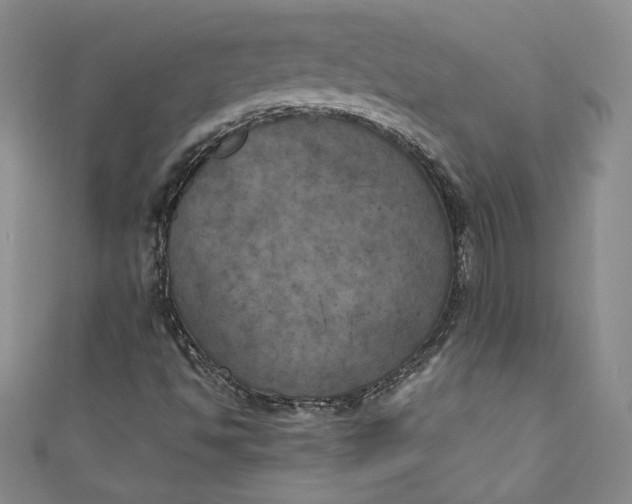 X0000111011494200907060945