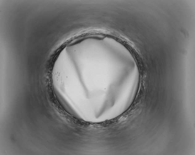 X0000111011496200907060945