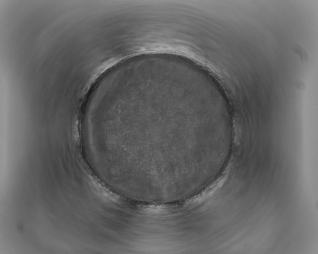 X0000111011497200907060945
