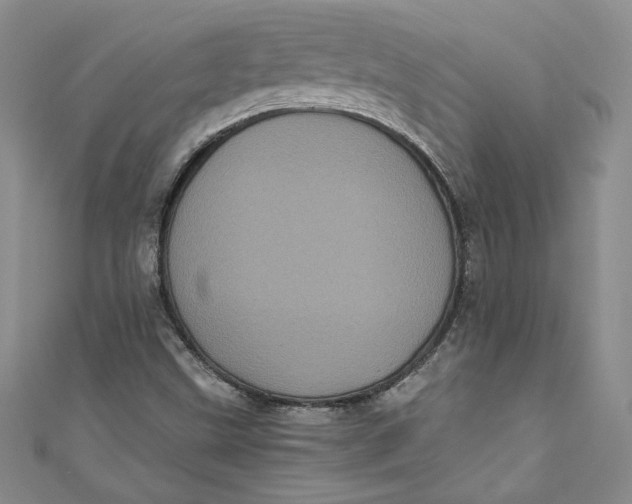 X0000111011499200907060945