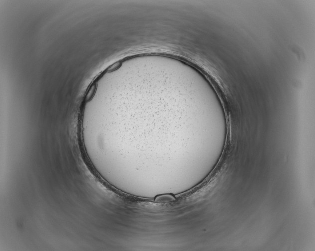 X0000111011500200907060945