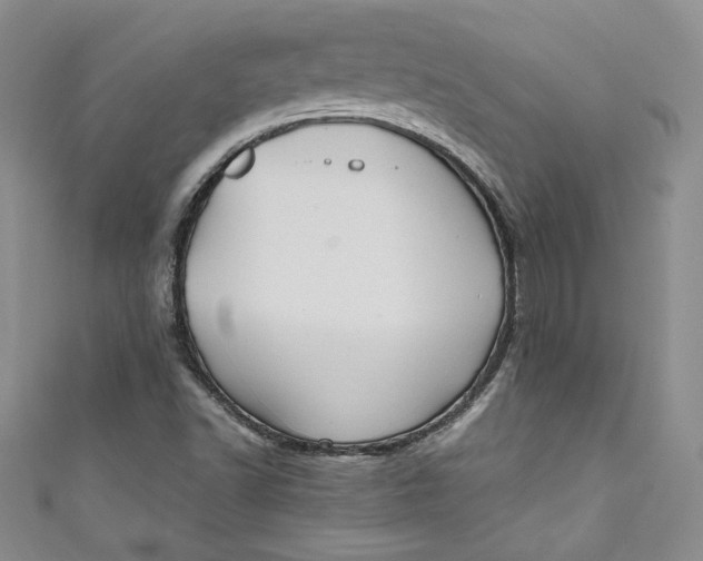 X0000111011502200907060945